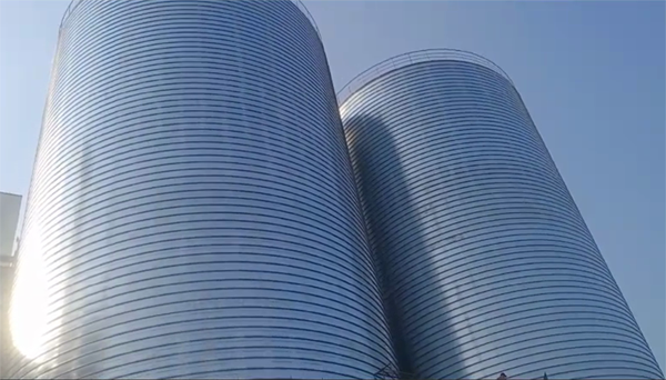 马尾2座混凝土高架卷板仓